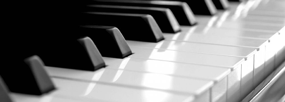 Dr. Steven L. Havens